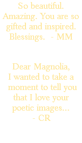 So beautiful. Amazing. You are so gifted and inspired. Blessings. - MM Dear Magnolia, I wanted to take a moment to tell you that I love your poetic images... - CR